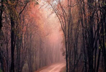 KY体育：“足球学院”为中国足球的复兴埋下种子.