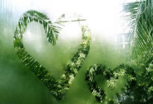 KY体育：有没有发现，贵为TVB一姐的汪明荃，好像被曾志伟排挤了？.