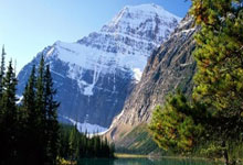 KY体育：上海落地系列消费补贴 智能产品线上线下销售旺.